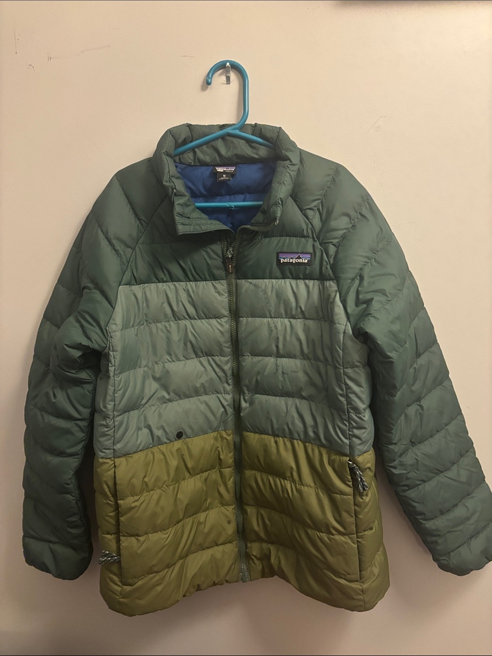 Patagonia Kids Olive Green Down Puffer Jacket with Blue Lining